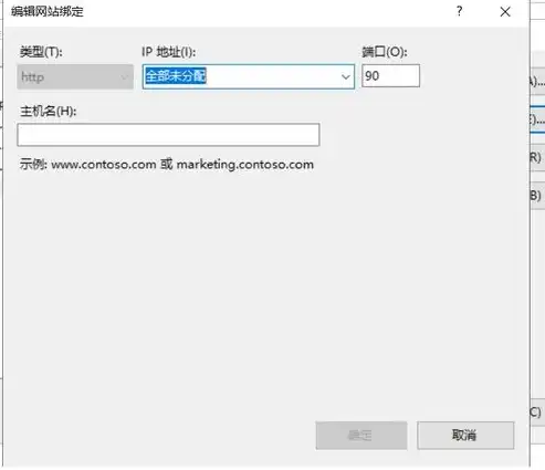 深入探讨ASP.NET服务器端IP地址及其应用与优化，asp.net service