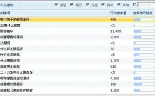 天水SEO关键词排名优化工具全方位解析，助您快速提升网站流量与曝光度，天水网站优化