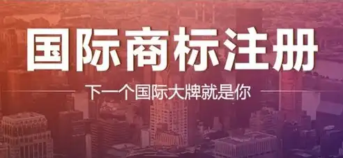 深耕成都市场，揭秘专业SEO服务公司如何助力企业腾飞，成都专业seo服务公司排名