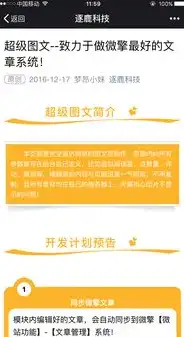 揭秘网站评论源码，背后的秘密与优化技巧，网站评论源码怎么弄