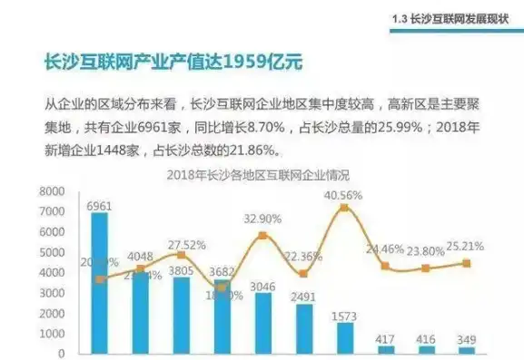 湖南省互联网产业发展现状与未来展望，网站开发领域的独到见解，湖南网站制作公司