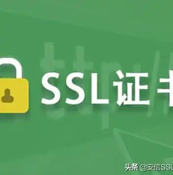 SSL证书，揭秘其对搜索引擎优化的五大神秘益处，ssl证书会影响网站速度吗