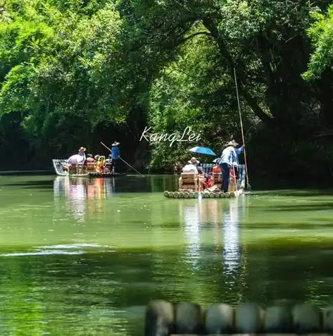 武夷山网站建设，打造独特旅游品牌，助力山水之城绽放光彩