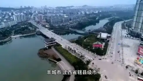 江西丰城SEO攻略，深度解析如何提升丰城地区网站排名，江西丰城森林公安