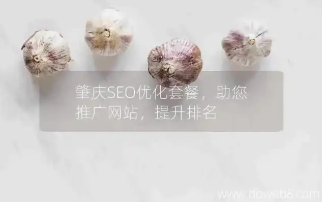 肇庆网站SEO优化攻略，提升网站排名，打造区域品牌影响力，肇庆网站建设营销推广