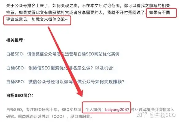 bsg论坛SEO攻略，提升网站流量与排名的秘诀，论坛bs什么意思