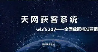 揭秘网站统计代码背后的奥秘，助力企业精准营销与数据分析，网站统计代码大全