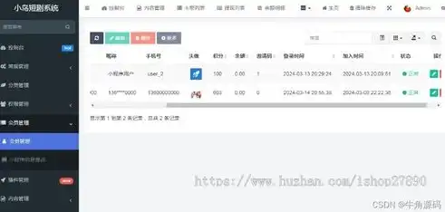 揭秘付费网站源码，从设计到运营的全方位解析，在线支付网站源码