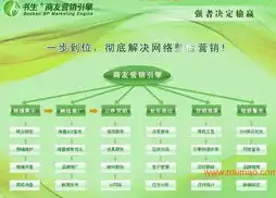 揭秘忠县SEO优化策略，助力企业在线崛起之路，忠县森林公安局