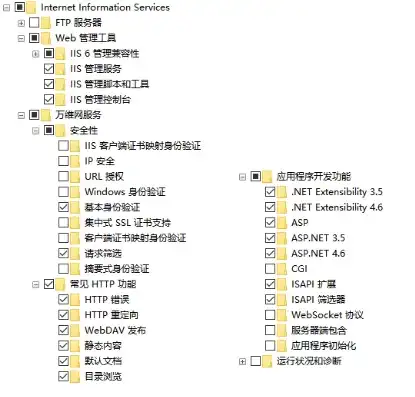 深度解析，如何在服务器上轻松开启IIS服务，服务器的iis怎么打开