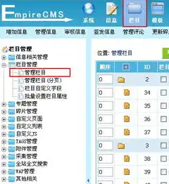 帝国CMS，揭秘内容管理系统中的关键词优化技巧，帝国cms分类信息