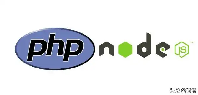 揭秘网站主流服务器语言，从PHP到Node.js，一文读懂编程霸主们的较量，网站主流服务器语言有哪些