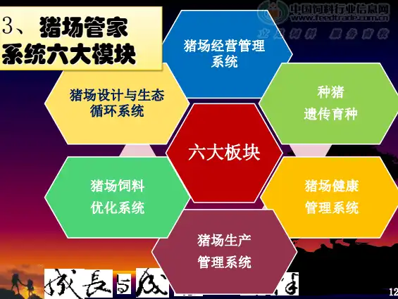 打造高效互动的官方网站，建设之路与策略解析，建设官方网站企业登录