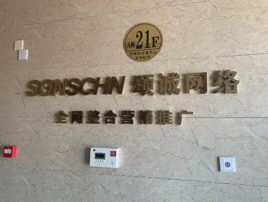 柳市SEO团队，助力企业互联网营销，打造区域品牌新高峰，柳市网站制作