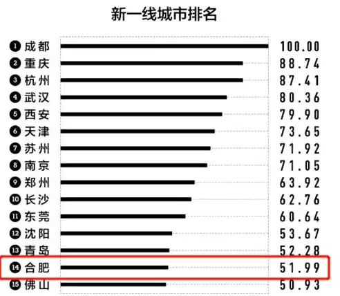 合肥关键词排名攻略，如何让你的网站在搜索引擎中脱颖而出？