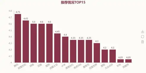 揭秘互联网公司网站源码，技术背后的神秘面纱，互联网公司网站源码是什么