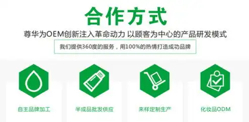 打造卓越品牌形象——揭秘公司网站设计的五大核心要素，化妆品公司网站设计