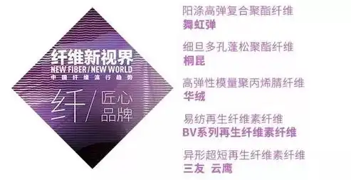 量身定制，打造专属您的企业品牌——揭秘高效定制网站建设之路，定制网站建设成本