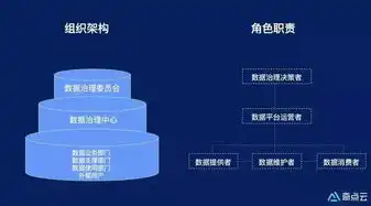 大数据治理平台，未来数字经济的重要基石，大数据治理平台发展前景如何