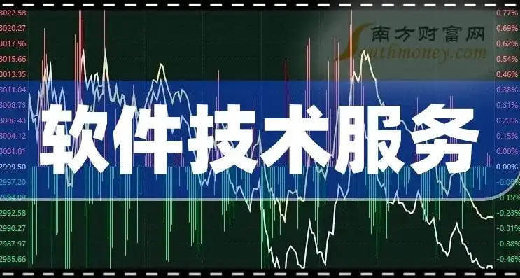 洞察软件服务行业动态，揭秘2024年值得关注的潜力股，软件服务相关股票代码