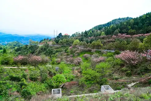 门头沟旅游攻略探索京郊秘境，发现自然与人文的完美融合，门头沟区宣传片