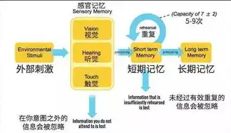 揭秘政府网站ASP源码，高效构建政府信息平台的秘诀，asp网站源代码