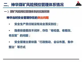 构建网络安全防线，风险识别与管理的策略与实践，网络安全风险识别与管理实验报告