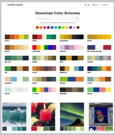 探索色彩之美，揭秘专业色彩搭配网站的奥秘，免费的色彩搭配网站