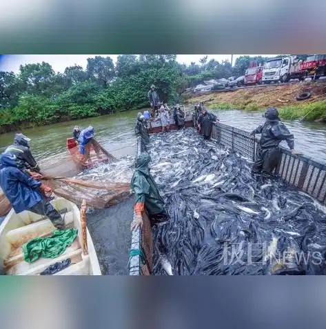 社区团购供货商，揭秘其盈利模式与赚钱潜力，社区团购供货商好做吗