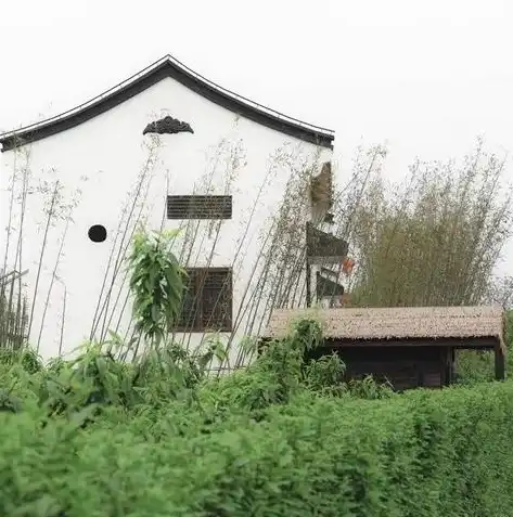 上海建设网站，打造一流城市风貌，展现上海独特魅力，上海建设网站怎样查证