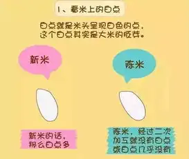 懒人必看！轻松实现高效生活的秘诀，懒人词汇