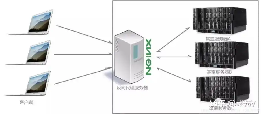 虚拟服务器承载网站数量的解析与优化策略，虚拟服务器能用几个网站登录